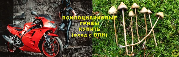 наркотики Апатиты
