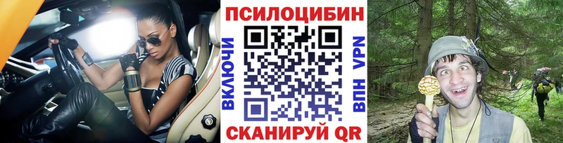 Псилоцибиновые грибы мицелий  Богородск 