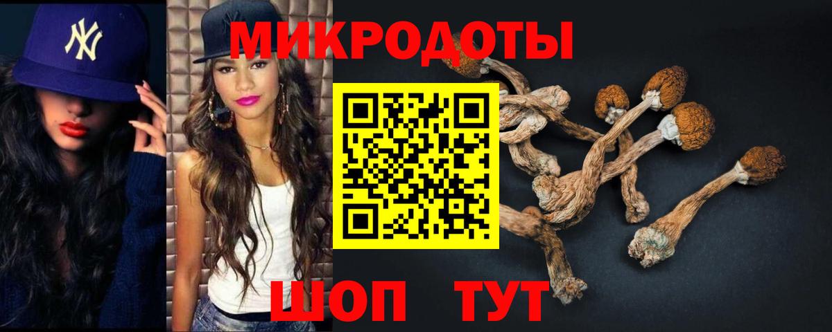 наркошоп  Галлюциногенные грибы Psilocybe  Вход с VPN  Богородск  Псилоцибиновые грибы прущие грибы 