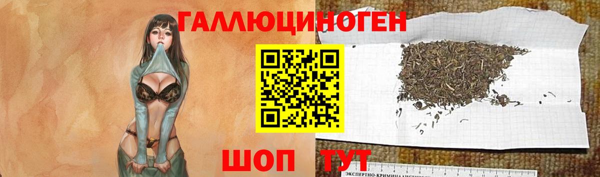 Псилоцибиновые грибы мухоморы Богородск